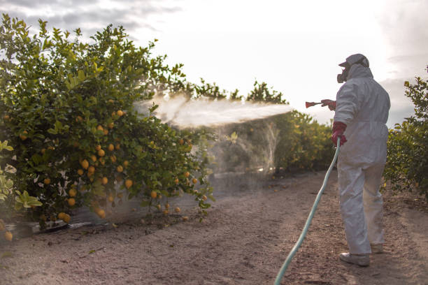 Best Wildlife Control Services  in New Boston, TX