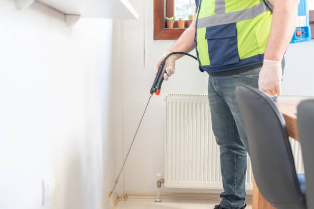 Best Mosquito Control Services  in New Boston, TX