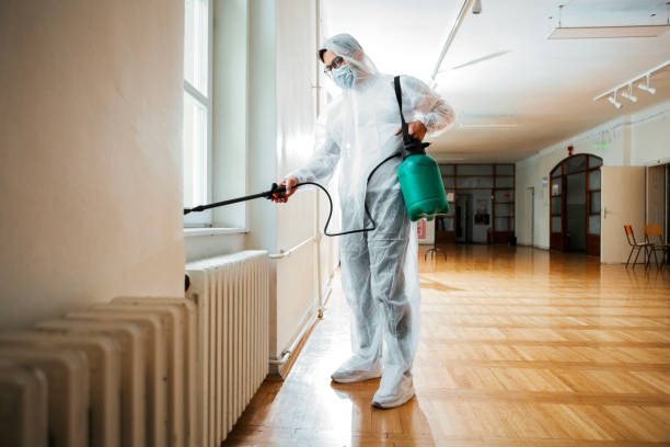 Professional Pest Control in New Boston, TX